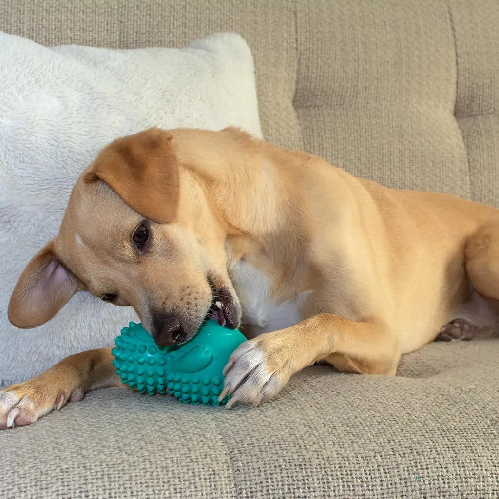 friends-forever-squeaky-dog-toys-with-tennis-ball-tough-dog-chew-toys-interactive-dog-toys-with-natural-rubber-teal-hedgehog