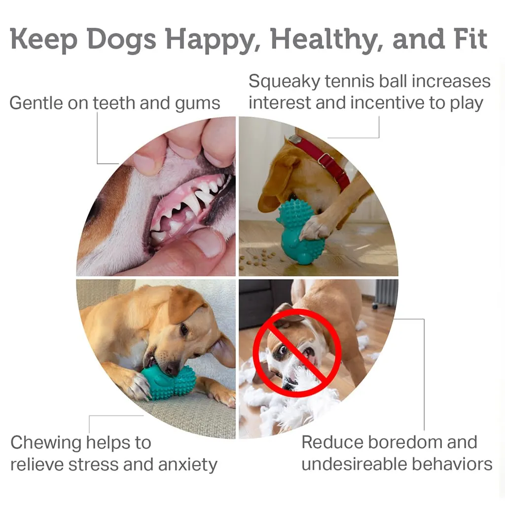 friends-forever-squeaky-dog-toys-with-tennis-ball-tough-dog-chew-toys-interactive-dog-toys-with-natural-rubber-teal-hedgehog