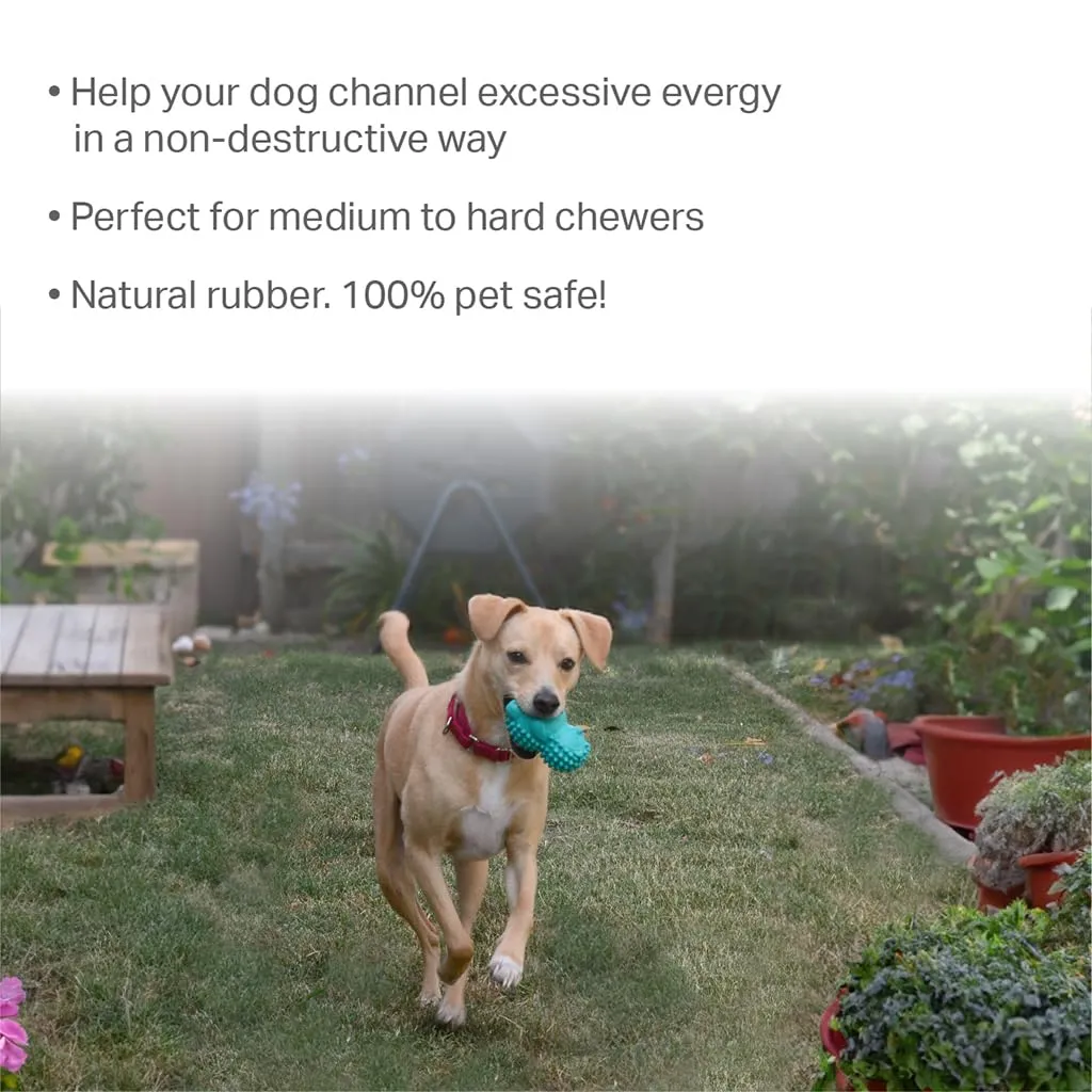 friends-forever-squeaky-dog-toys-with-tennis-ball-tough-dog-chew-toys-interactive-dog-toys-with-natural-rubber-teal-hedgehog