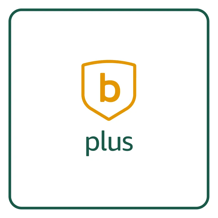 blink-plus-plan