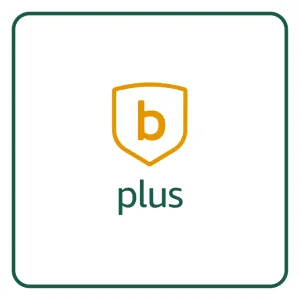 Blink Plus Plan