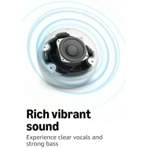 echo-dot-newest-model