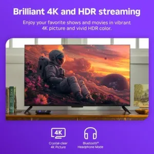 roku-streaming-stick-plus