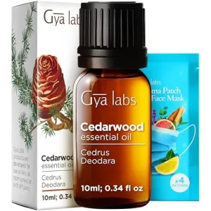 tea-tree-oil-4oz