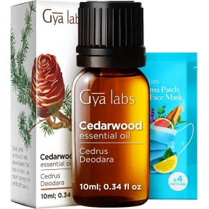 tea-tree-oil-4oz