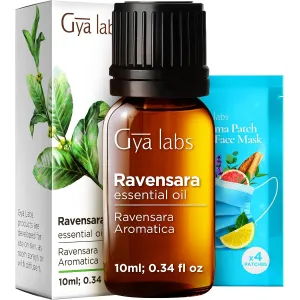 tea-tree-oil-4oz