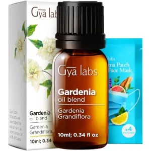 tea-tree-oil-4oz