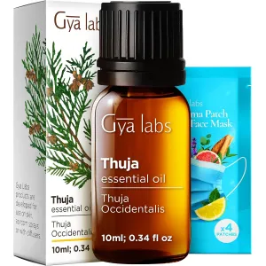 tea-tree-oil-4oz