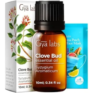 tea-tree-oil-4oz
