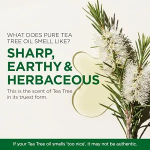 tea-tree-oil-4oz