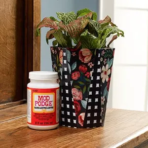 mod-podge-gloss-sealer