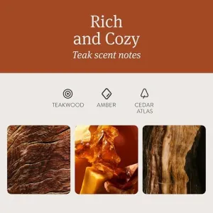 drift-wood-car-freshener
