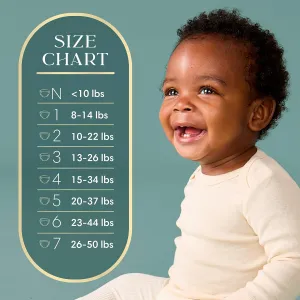 pampers-amore-size-4