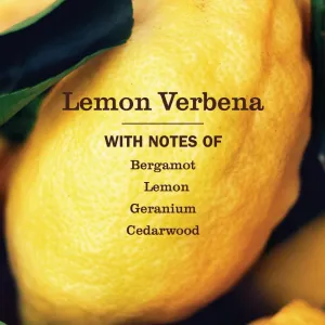 mrs-meyers-lemon-verbena-hand-soap