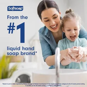 softsoap-hand-soap-refill