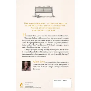 theo-of-golden-novel-1