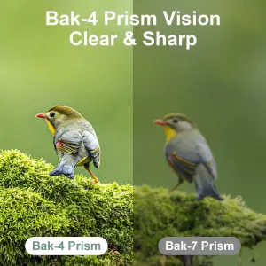 12x25-pocket-binoculars