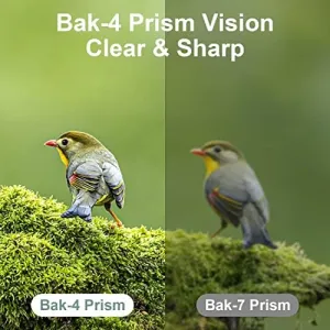 12x25-pocket-binoculars