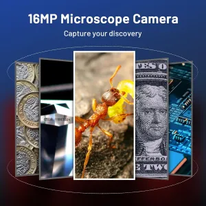 tomlov-p10-microscope