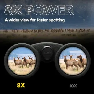 nikon-prostaff-p3-8x42-binoculars