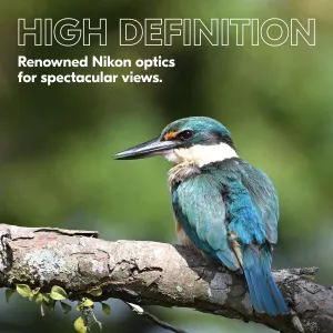 nikon-prostaff-p3-8x42-binoculars