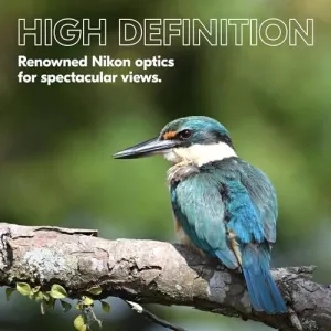 nikon-prostaff-p3-8x42-binoculars