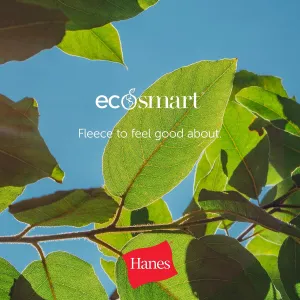 hanes-ecosmart-hoodie