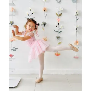 stelle-ballet-shoes