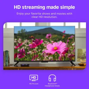 roku-streaming-stick-hd