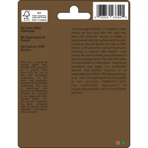 visa-gift-card-100