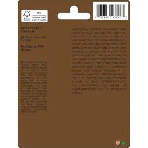 visa-gift-card-25