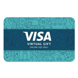 visa-virtual-egift-card-3