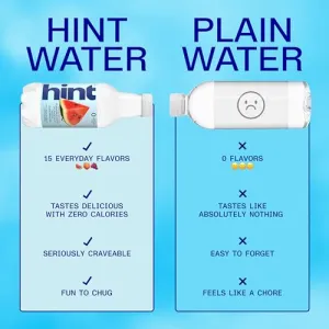 hint-flavored-water-12-pack