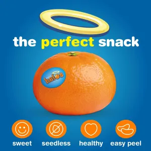 halos-mandarins-3lb-bag