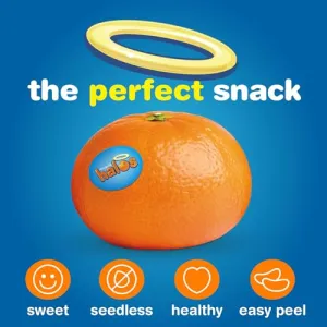 halos-mandarins-3lb-bag