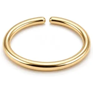 small-gold-nose-hoop