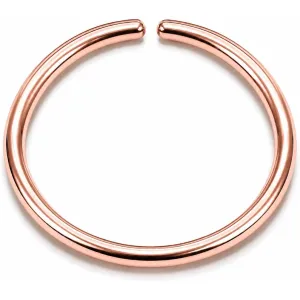 small-gold-nose-hoop