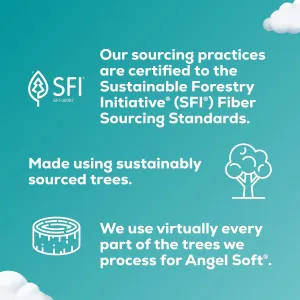 angel-soft-mega-toilet-paper