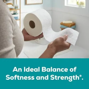 angel-soft-mega-toilet-paper