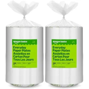 amazon-basics-plates-8-62