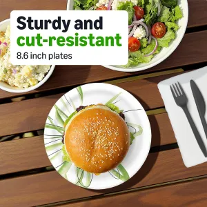 amazon-basics-plates-8-62