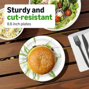 amazon-basics-plates-8-62