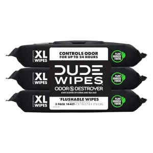 dude-wipes-unscented-288