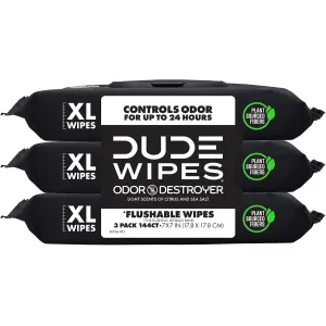 dude-wipes-unscented-288