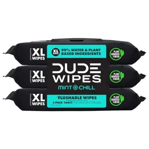 dude-wipes-unscented-288