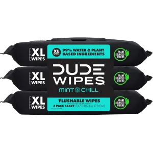 dude-wipes-unscented-288