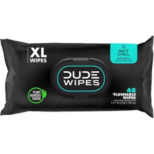 dude-wipes-unscented-288