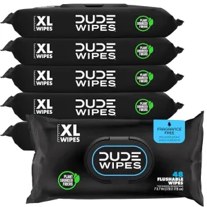 dude-wipes-unscented-288