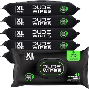 dude-wipes-unscented-288
