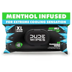 dude-wipes-unscented-288